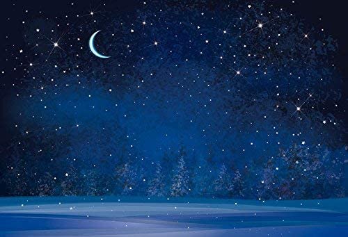 Yeele Winter Night Snowfall - DO NOT ADD TO CART, FOLLOW LINK