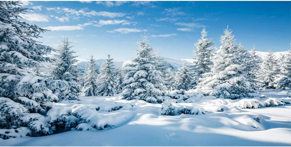 CSFOTO Winter Mountain Landscape - DO NOT ADD TO CART, FOLLOW LINK