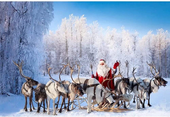 DASHAN Outdoor Winter Forest Backdrop Santa Claus Reindeer - DO NOT ADD TO CART, FOLLOW LINK
